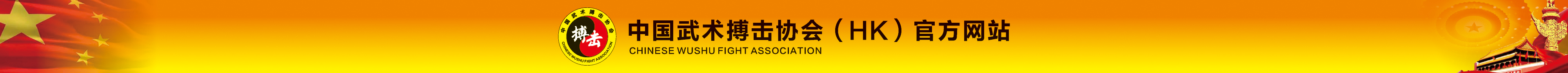 中国武术搏击协会